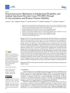 https://www.ncbi.nlm.nih.gov/pmc/articles/PMC10814814/